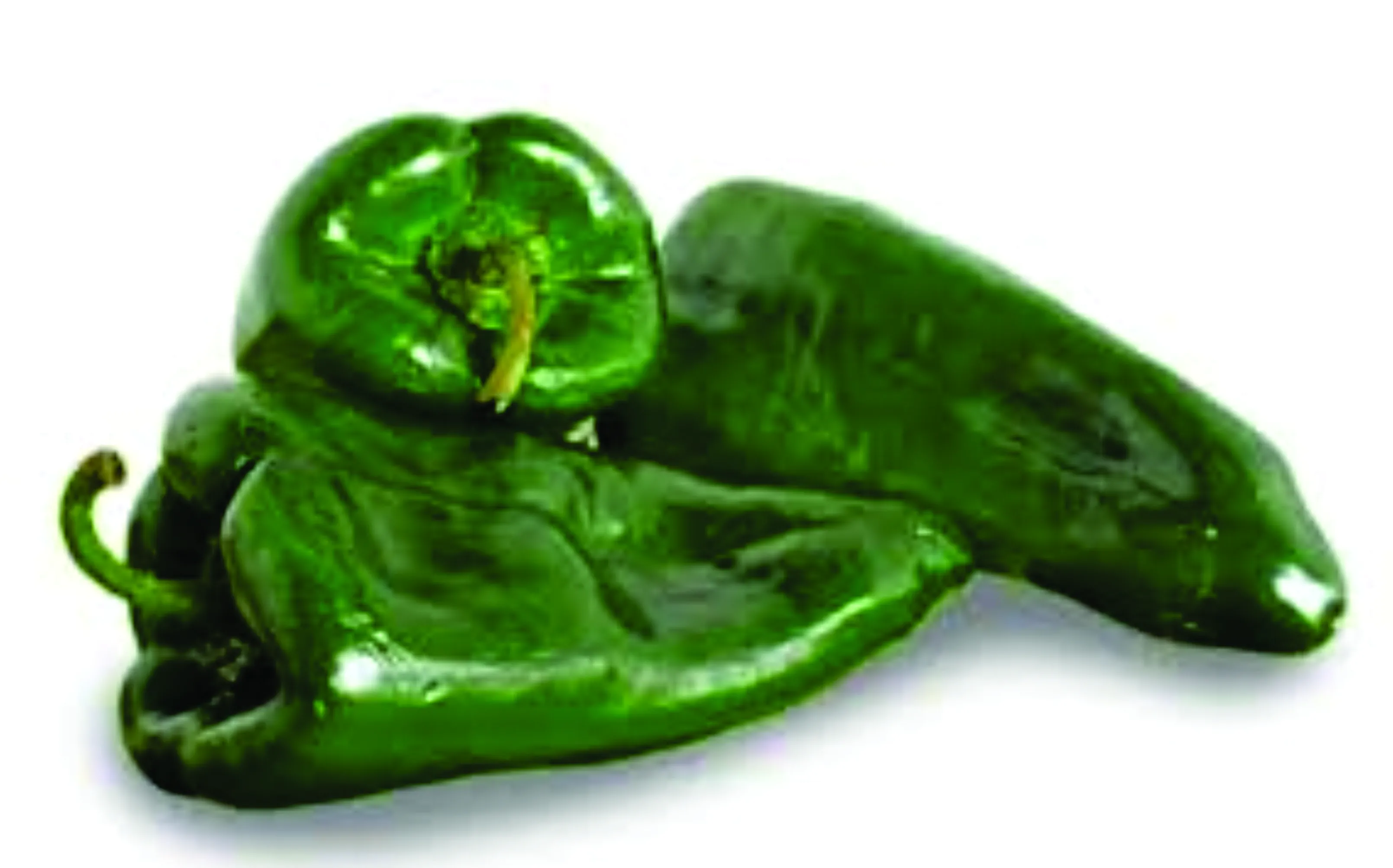 Chile Poblano