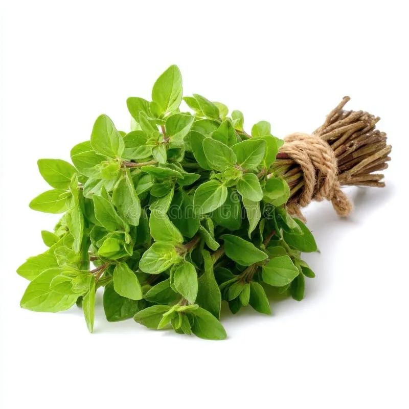 Orégano Fresco Manojo