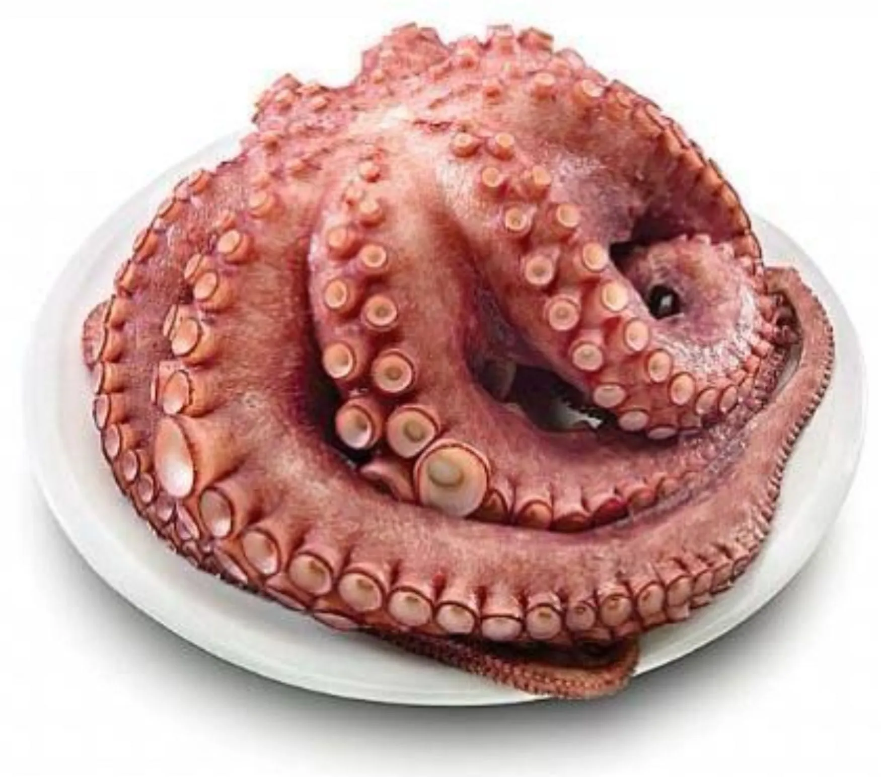 Pulpo Cocido