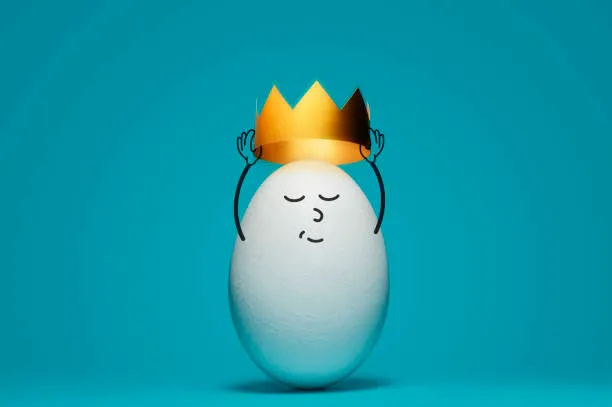 Huevo orgánico blanco, cartera 30 piezas