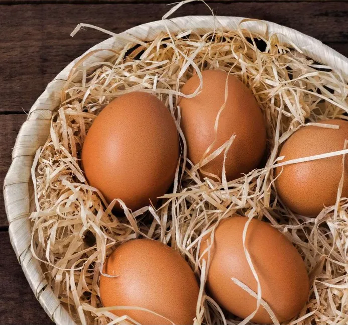 Huevo Orgánico