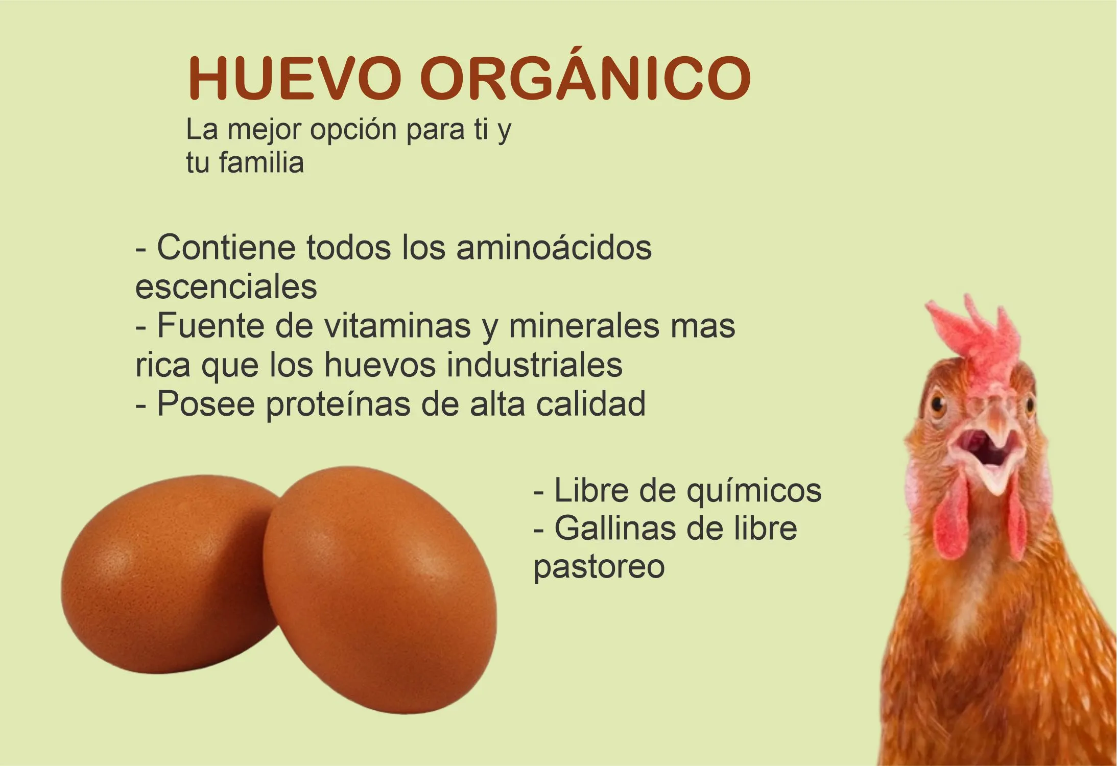 Huevo Orgánico, cartera con 30 piezas