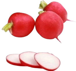 Rabanitos Manojo Grande
