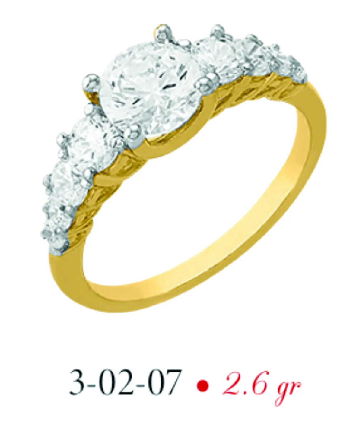 Anillo modelo 3-02-07