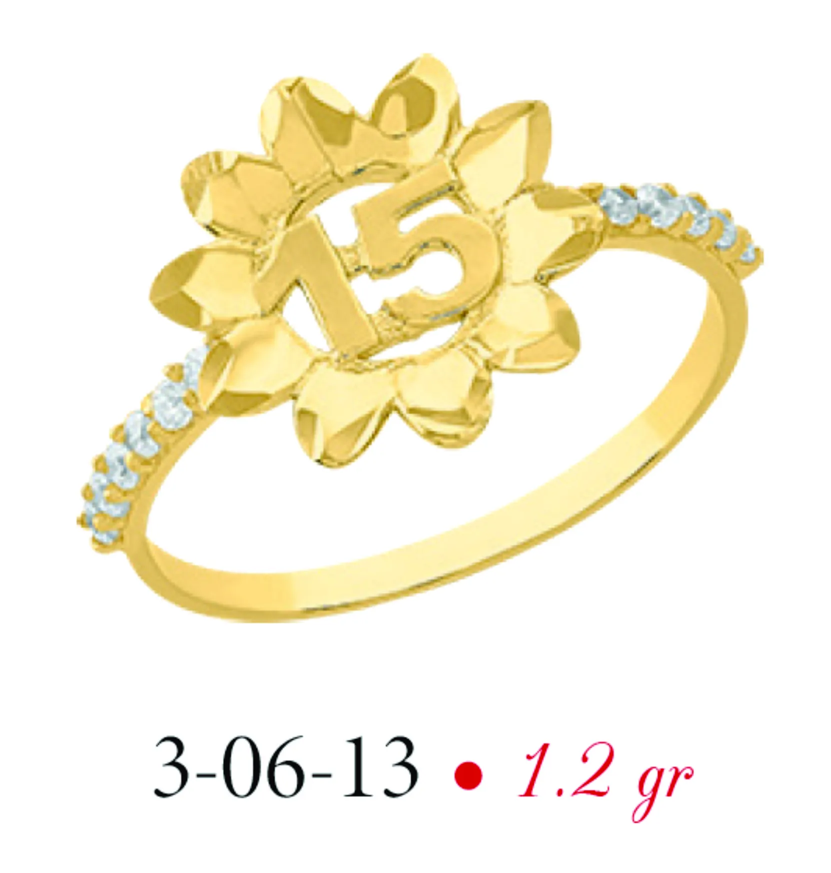 Anillo modelo 3-06-13