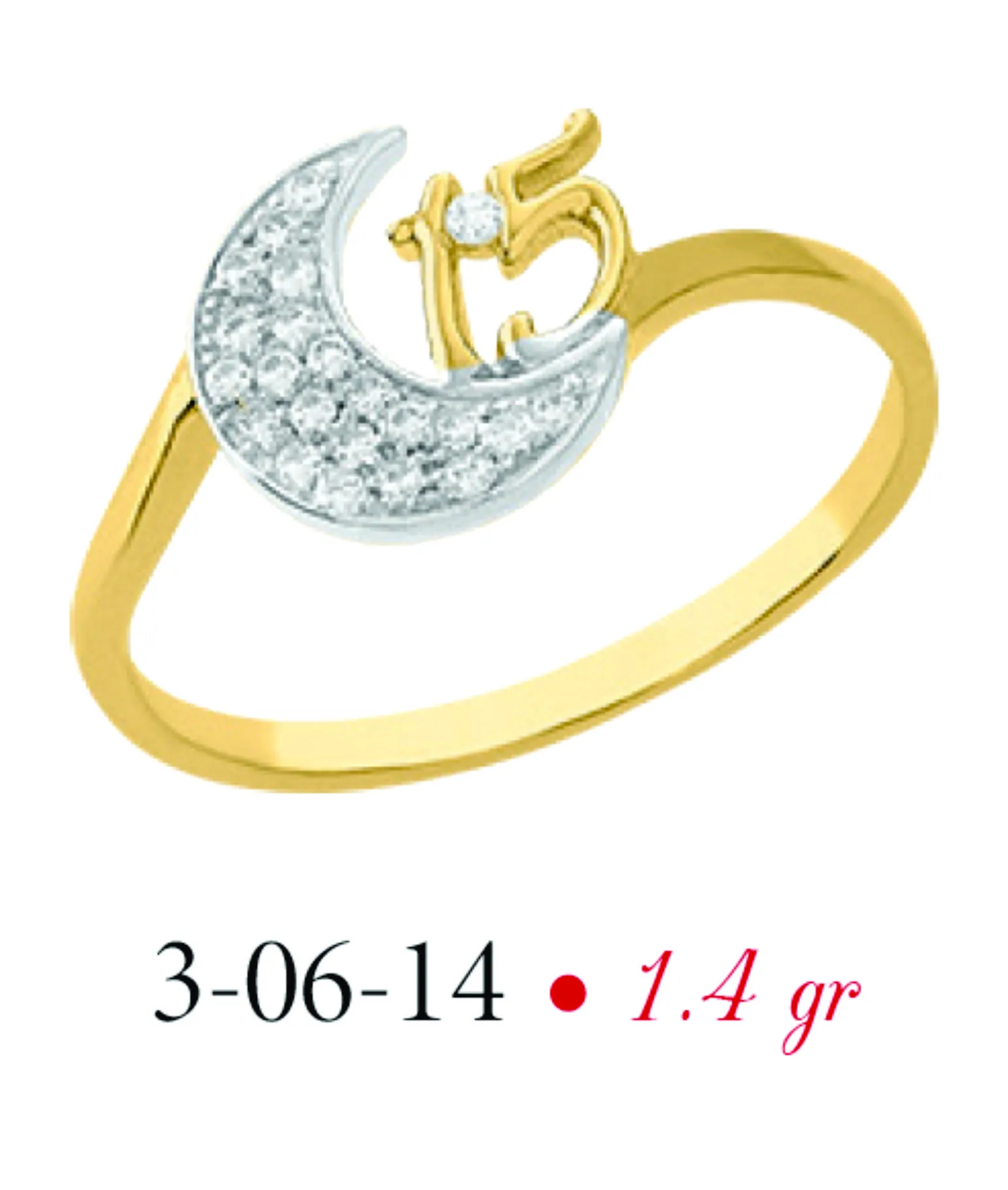 Anillo modelo 3-06-14