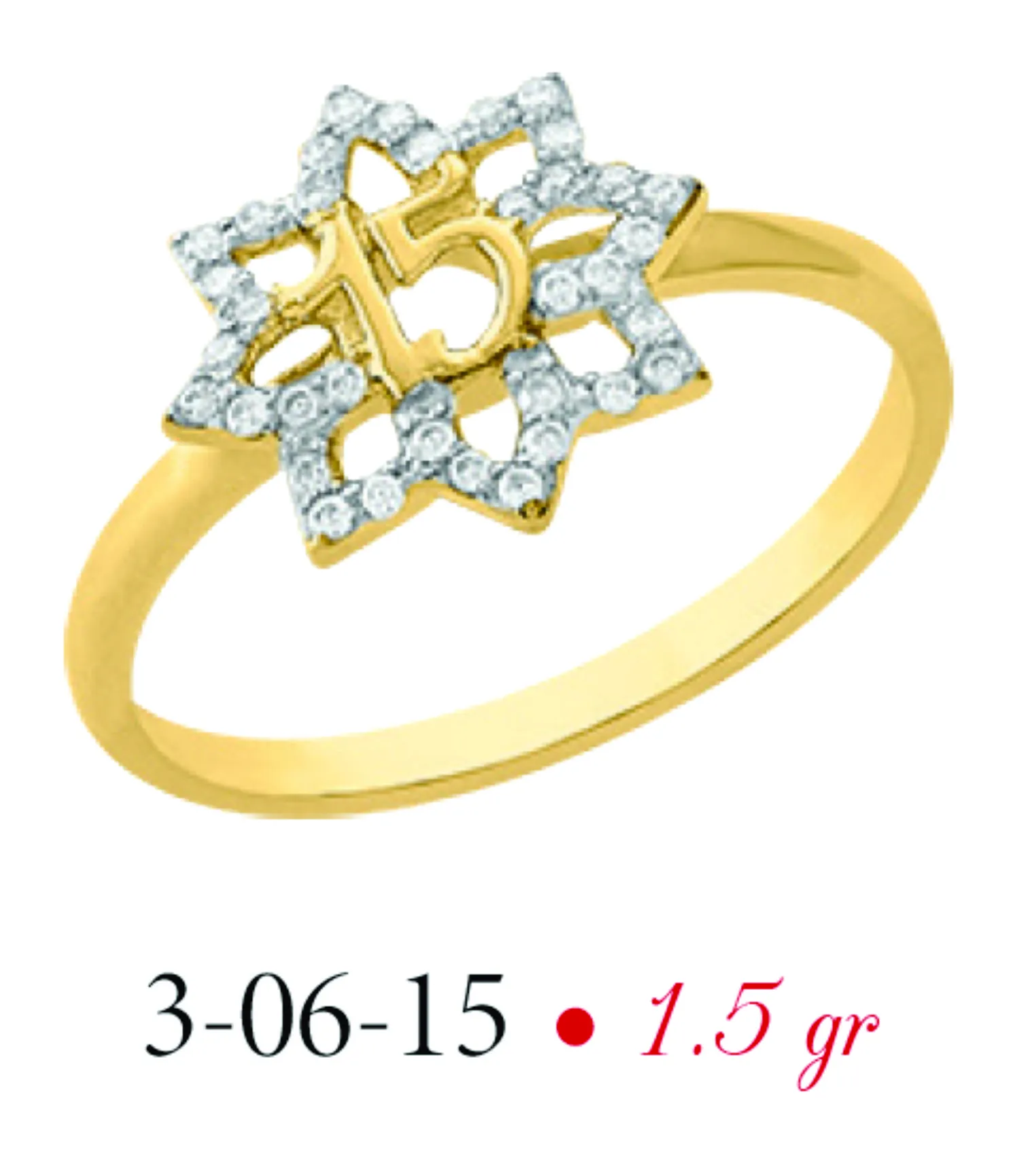 Anillo modelo 3-06-15