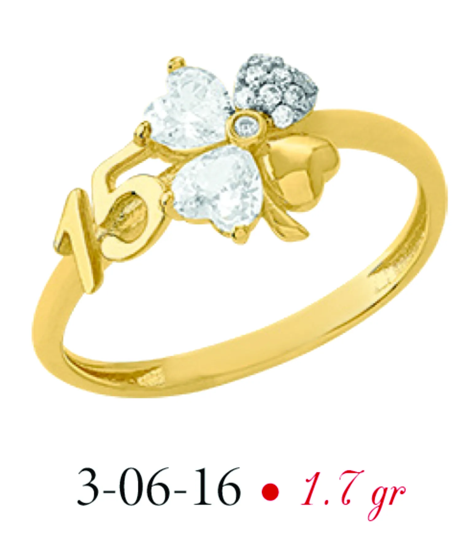Anillo modelo 3-06-16