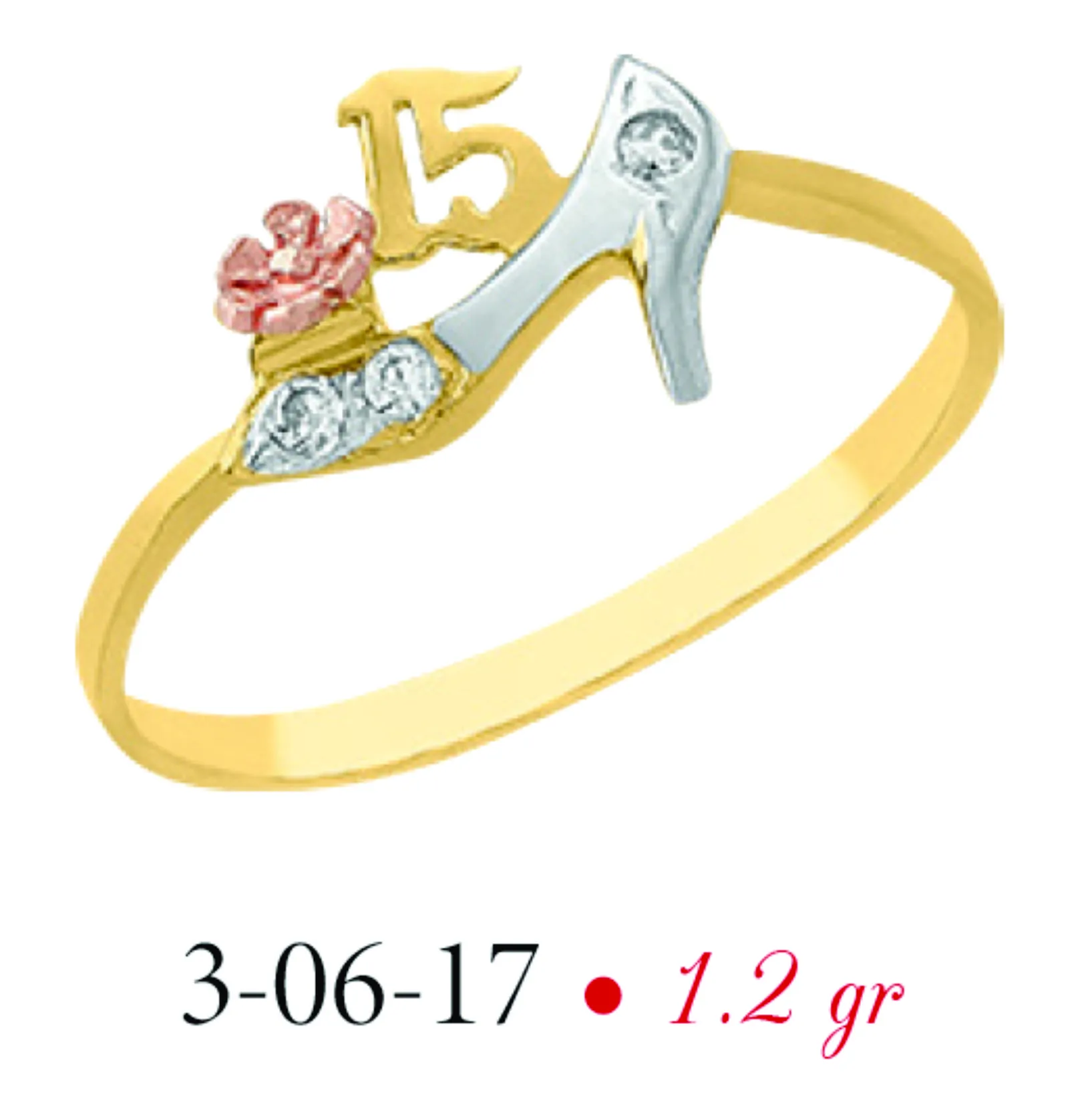 Anillo modelo 3-06-17