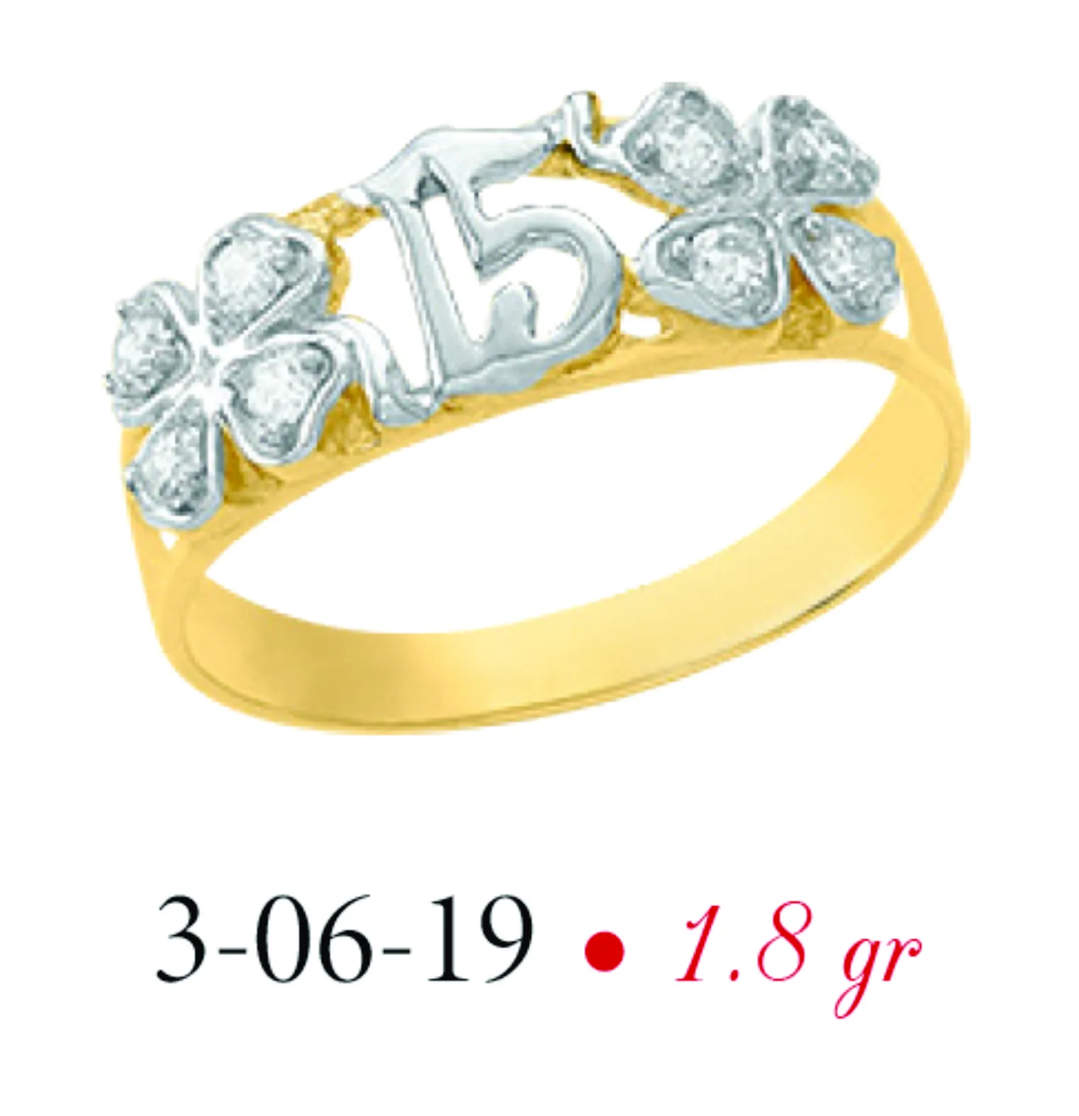 Anillo modelo 3-06-19