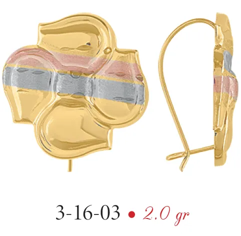 Aretes Modelo 3-16-03