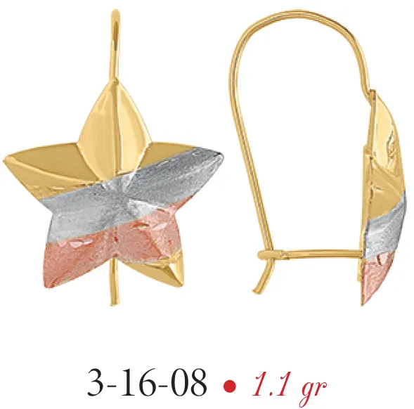 Aretes Modelo 3-16-08