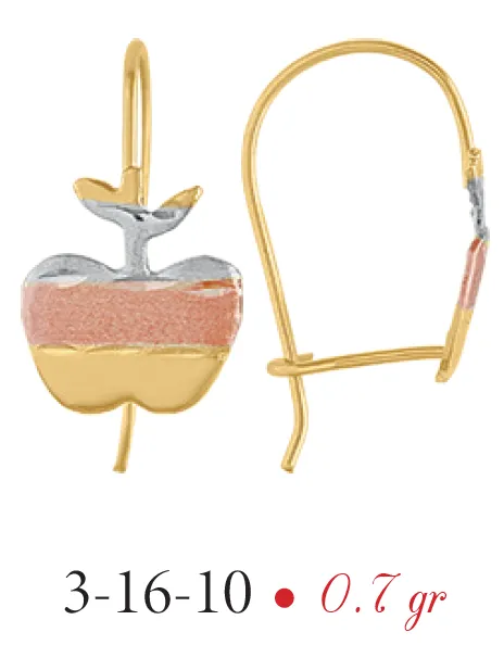 Aretes Modelo 3-16-10