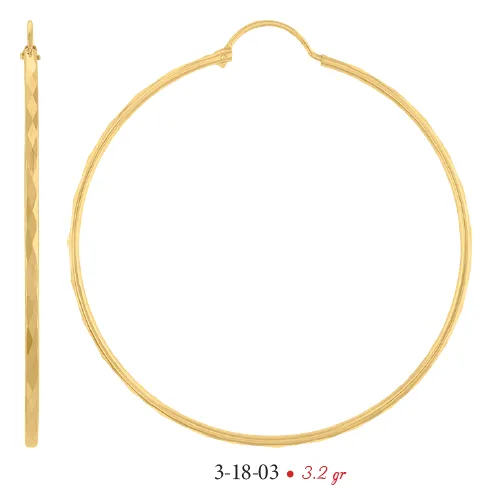 Arracadas modelo 3-18-03