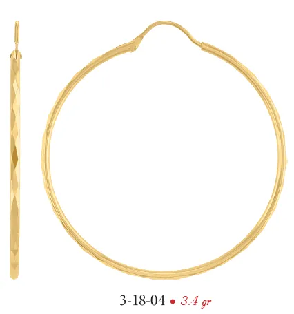 Arracadas modelo 3-18-04