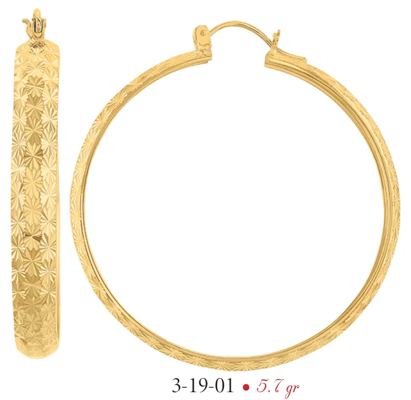 Arracadas modelo 3-19-01