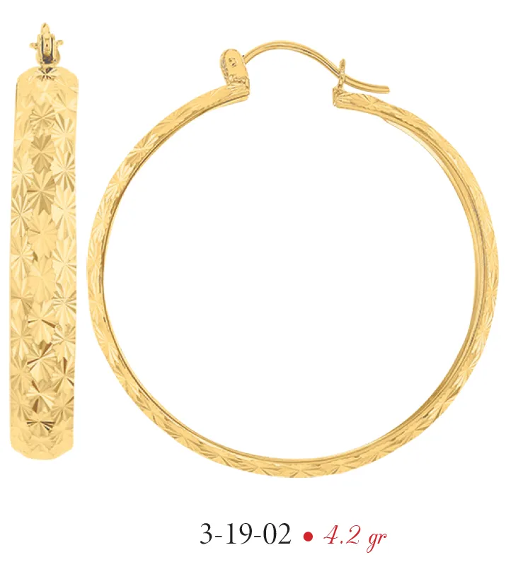 Arracadas modelo 3-19-02