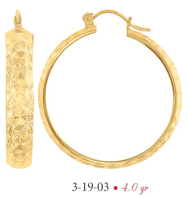 Arracadas modelo 3-19-03