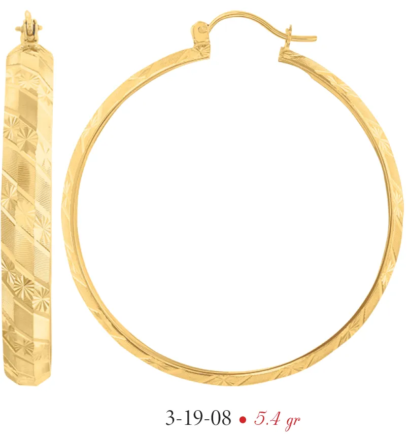 Arracadas modelo 3-19-08