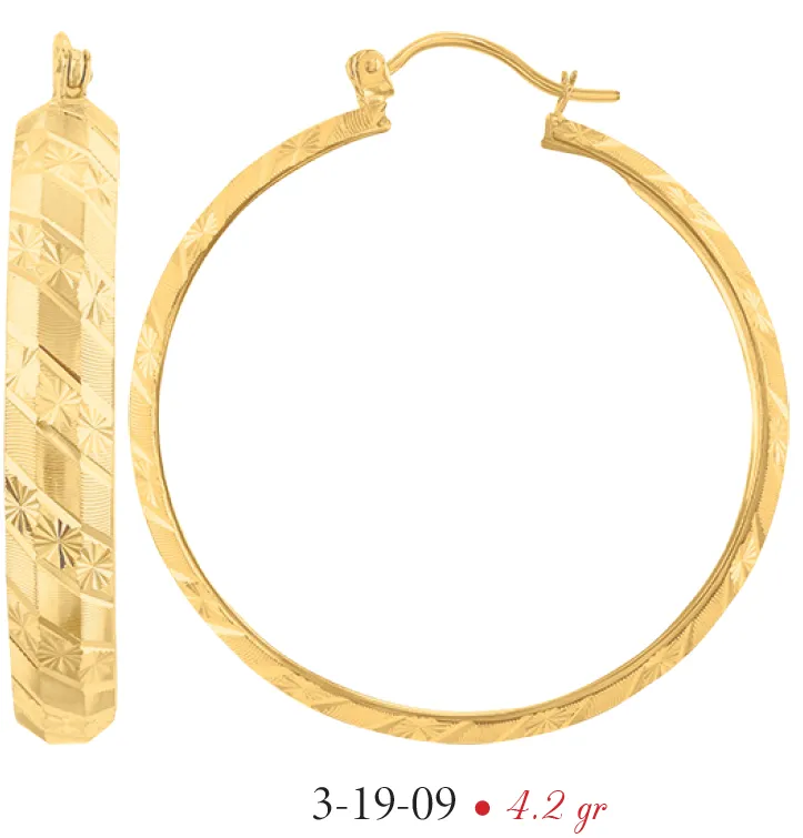 Arracadas modelo 3-19-09