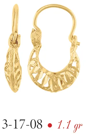 Arracadas modelo 3-17-08