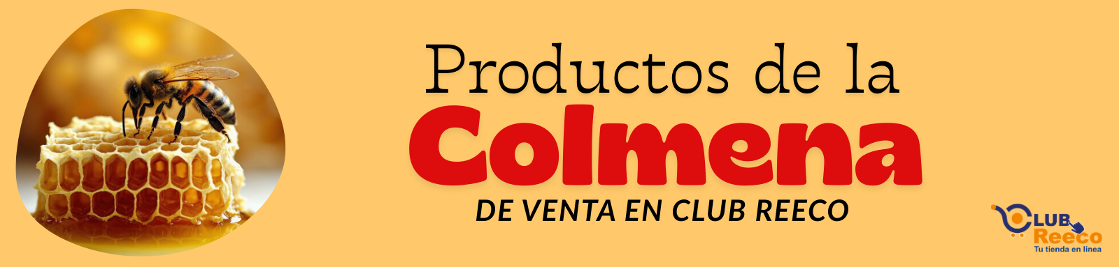 reeco_slider1_108_108