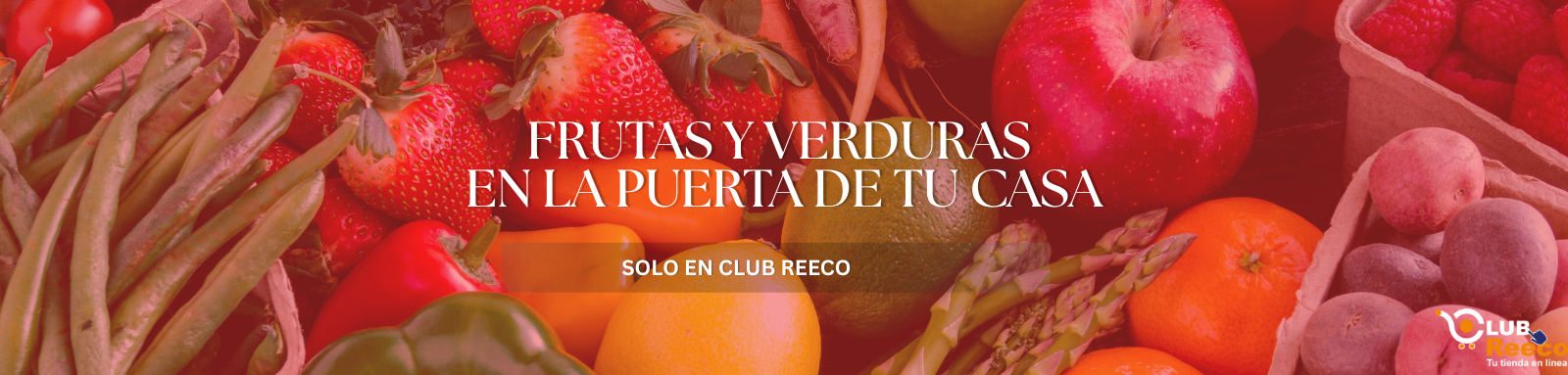 reeco_slider1_252_252